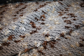 Blød italiensk strik med dutter