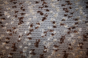 Blød italiensk strik med dutter