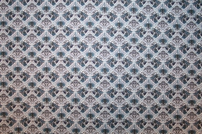 Liberty Poplin Shelton