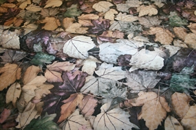 Silke -og viskoseblanding med blade